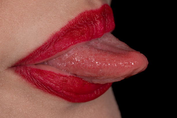 舌头上味蕾的宏观视图图片下载