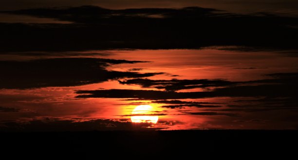 非洲的日出图片下载