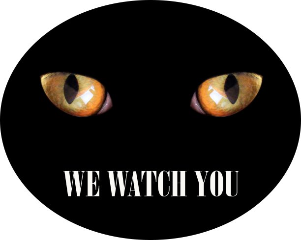 黑暗中的猫眼和铭文我们看着你。警告标志图片下载