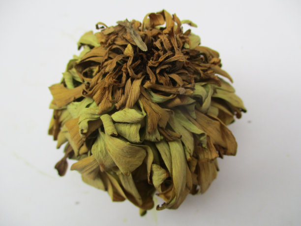 秋叶和绿色自然素材（地面上的干树叶照片）图片下载