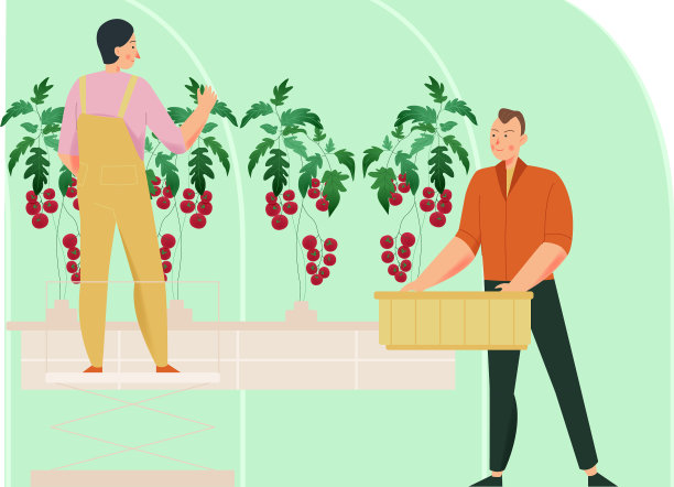 悬挂植物平面构成图片下载