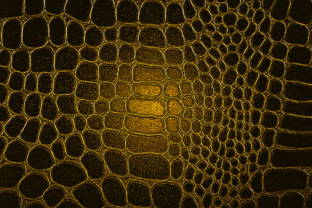 深色鳄鱼皮纹理，黄色。以仿爬行动物皮革纹理为背景图片下载