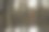 去年的叶子挂在树枝上图片下载