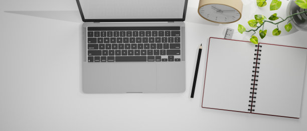 顶视图的工作空间与笔记本电脑，文具和装饰品，3D渲染图片下载