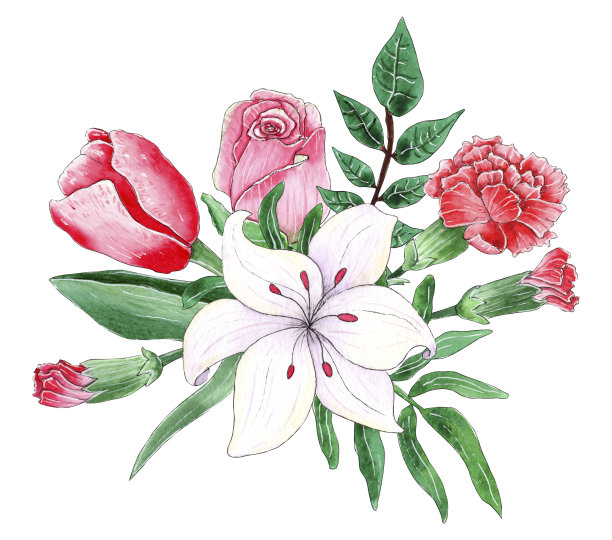 水彩花束构图、插花。图片下载