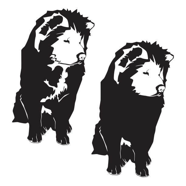 松狮犬黑色剪影，矢量插图孤立在白色背景。图片下载