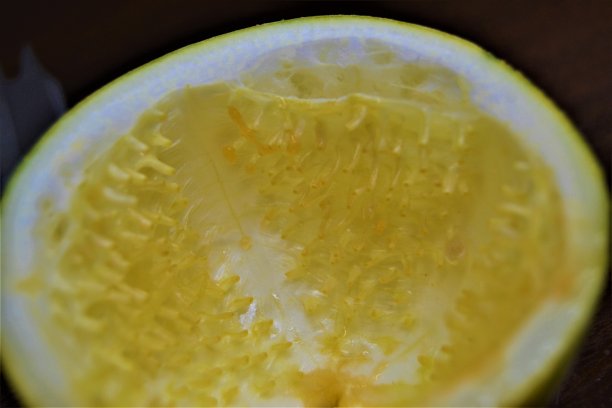 没有果肉的百香果图片下载