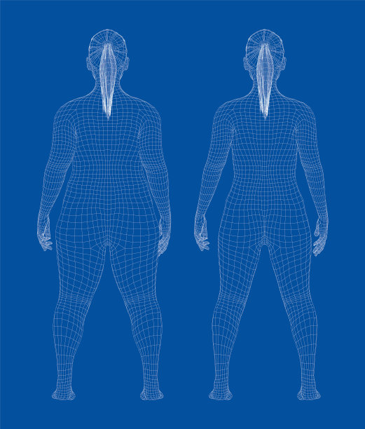 胖和苗条的女人减肥前后图片下载