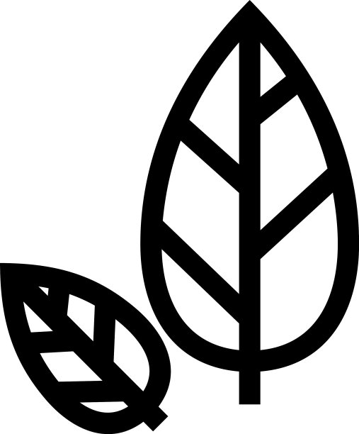 树叶图标或Logo独立标志符号图片下载