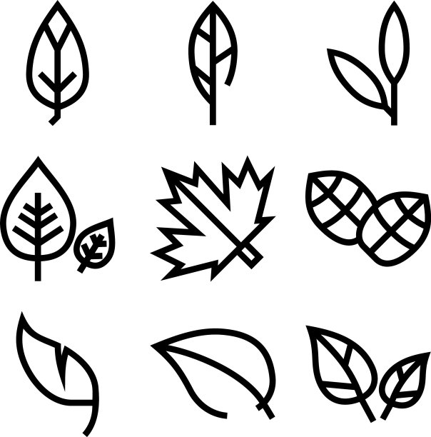 叶子图标或标志孤立符号符号图片下载