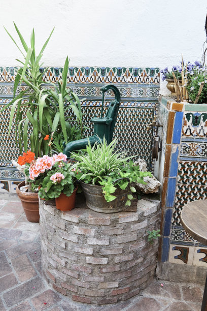 角落里满是花的院子里有一口老井和水泵。图片下载