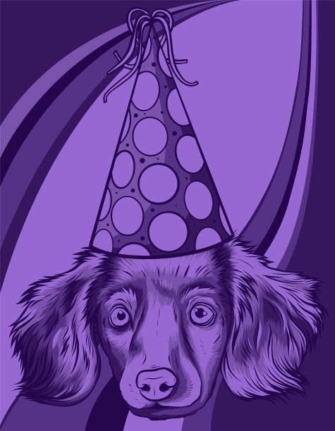 戴着派对帽的可爱小狗图片下载