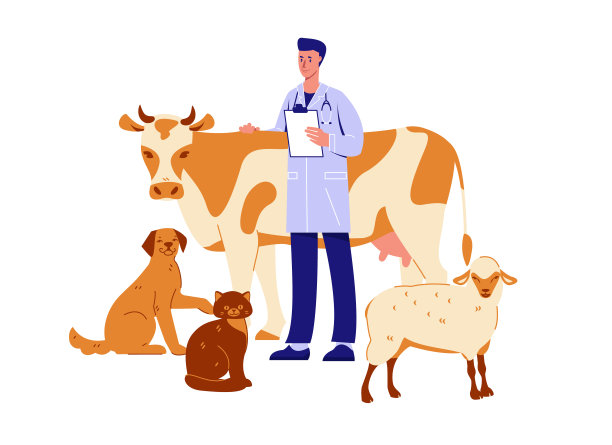 兽医与动物牛，羊，猫，狗。健康检查。矢量插图在平面卡通风格。孤立在白色背景上。图片下载