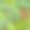 有森林和绿树的自然景观。无缝的。美丽的乡村景色。向量图片下载