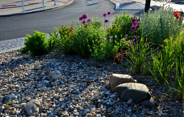 有花期和吸引昆虫的多年生斑点种植园的环岛。类似于草地。圆的中心是由卵石和卵石形成的干涸的河床。图片下载