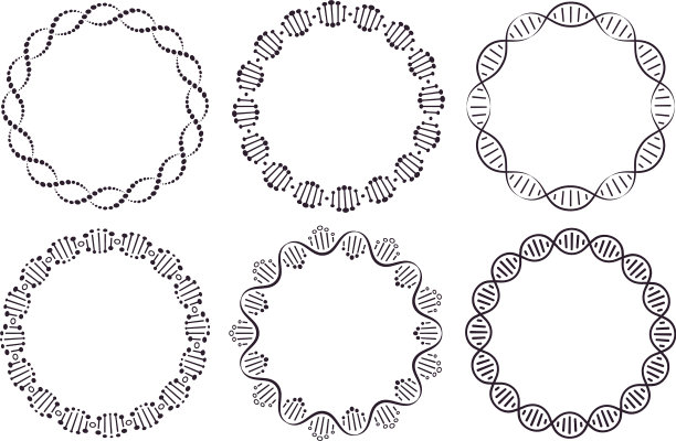 DNA圆形框架与基因组螺旋的圆形框架图片下载