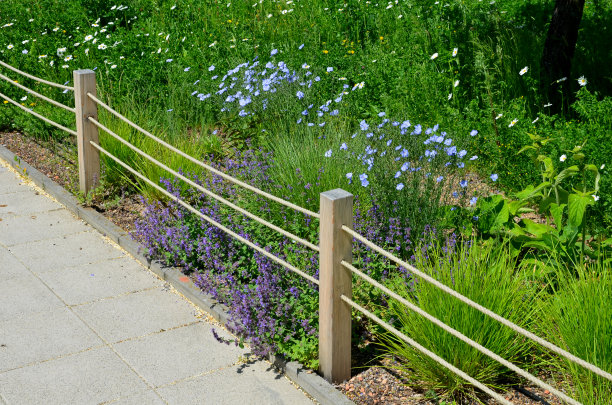 城市公园的花坛上盛开着蓝色和黄色的花朵，它们被一根带木桩的绳子围栏与道路隔开。花坛边缘是用花岗岩镶边的图片下载