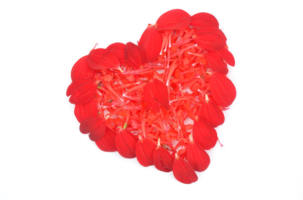 红花爱心孤立于白底图片下载