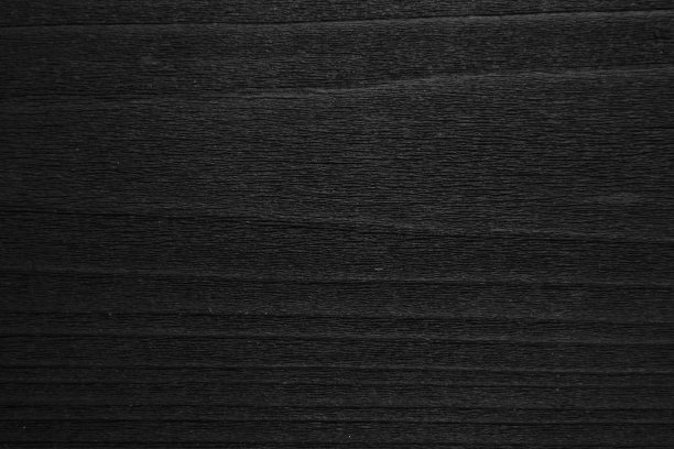 美丽的树林图片下载