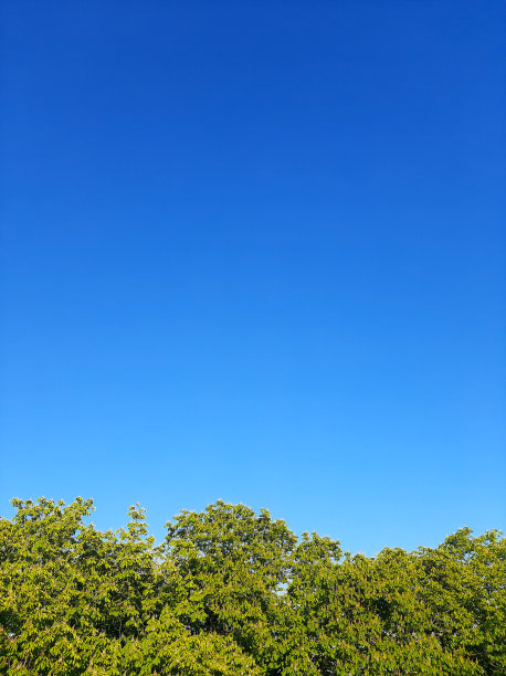 绿色的天空映衬着湛蓝的天空。从鸟瞰图拍摄的垂直照片。图片下载