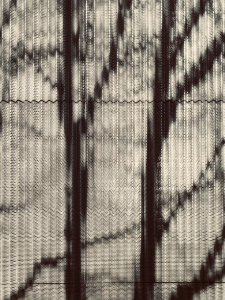 的影子。图片下载