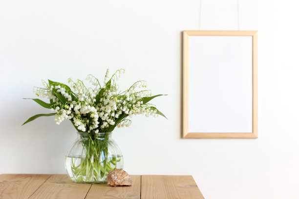 墙上挂着空框的模型还有铃兰。图片下载