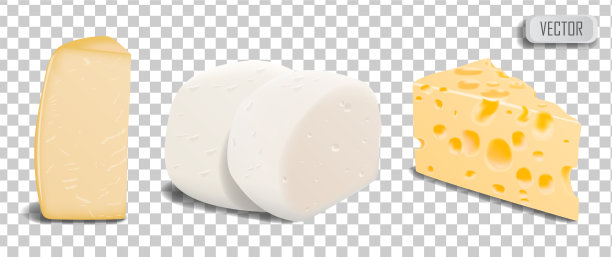 一套不同类型的帕尔马干酪图片下载