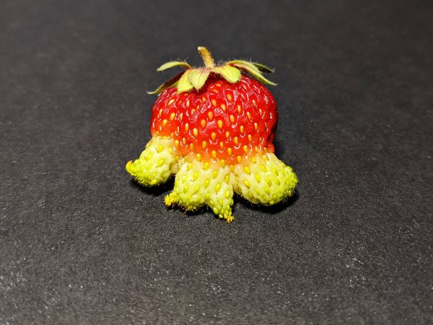 小草莓图片下载