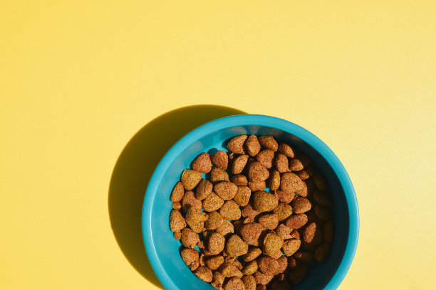 一碗黄色背景的宠物食品。图片下载