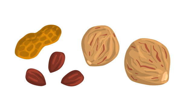 坚果收集花生和肉豆蔻坚果营养丰富图片下载