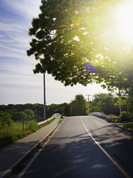 在科德角明亮的夏日早晨的阳光照耀下，一棵绿色的大枫树下的公路旅行图片下载