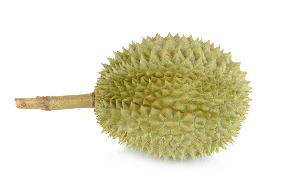 榴莲(月椒)孤立在白色背景上图片下载