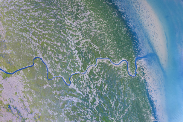 航拍美国三角洲郁郁葱葱的河湾图片下载