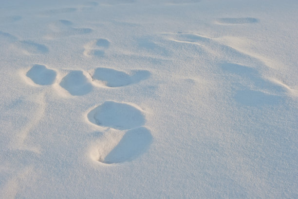 新雪的质地。鞋底在新雪上留下的脚印。黄色的阳光照在雪地上。图片下载