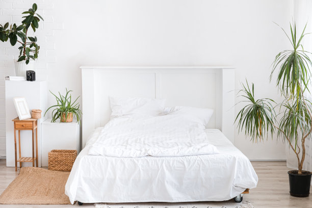 带有白色床和大型室内花的卧室图片下载