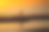 一个冰镇的啤酒/汽水瓶子，在夕阳的金色沙滩上挺立。夏天的晚上图片下载
