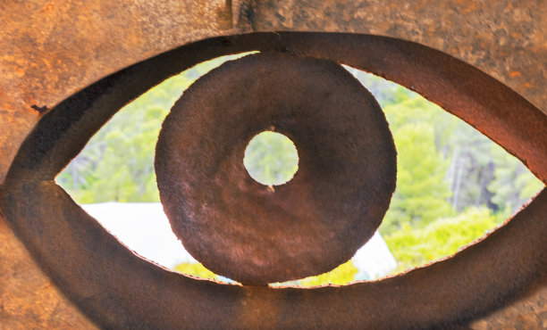 在鲸鱼的眼睛里面图片下载