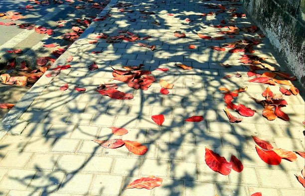 永恒的爱图片下载