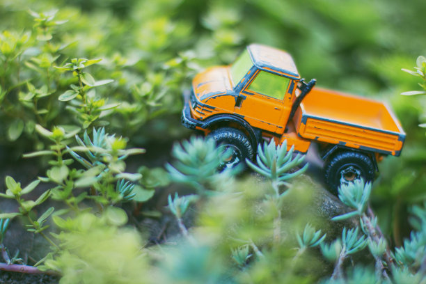 旧橙色卡车在丛林库存照片图片下载