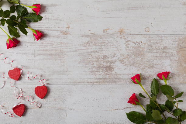 情人节。玫瑰的背景。图片下载