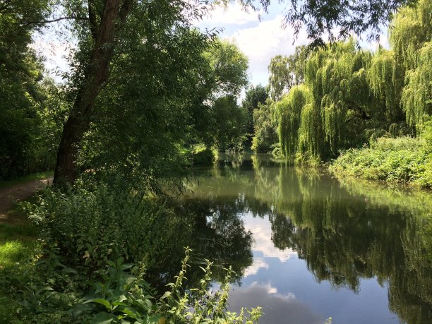 美丽的河场景图片下载