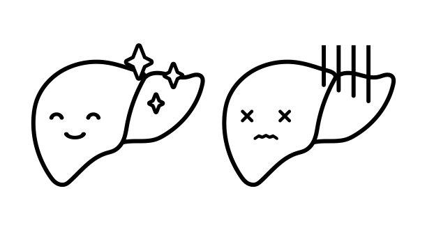 人类肝脏分离载体图解。图片下载