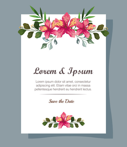 带有夏威夷花和树叶的卡片图片下载