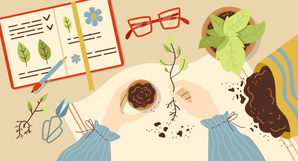 种植植物和种植草药背景，平面载体插图孤立。图片下载