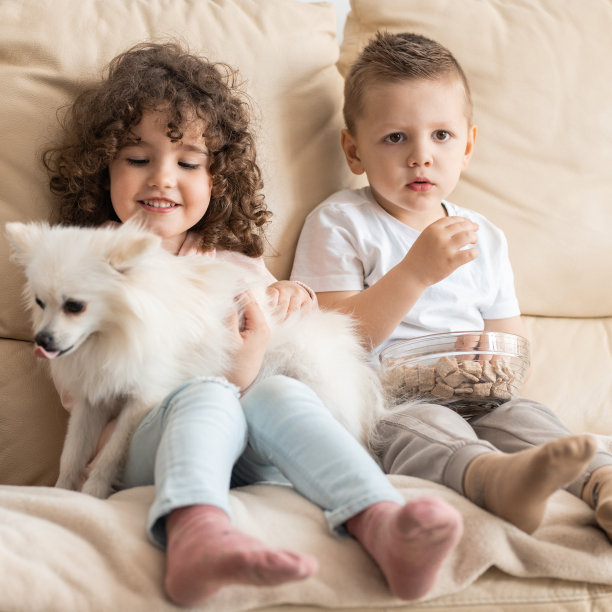 周末在家里图片下载