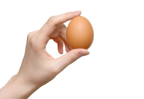 女子手捧鸡蛋孤立上白图片下载