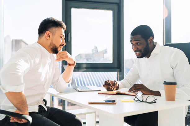 两个混血儿在办公室里开会图片下载