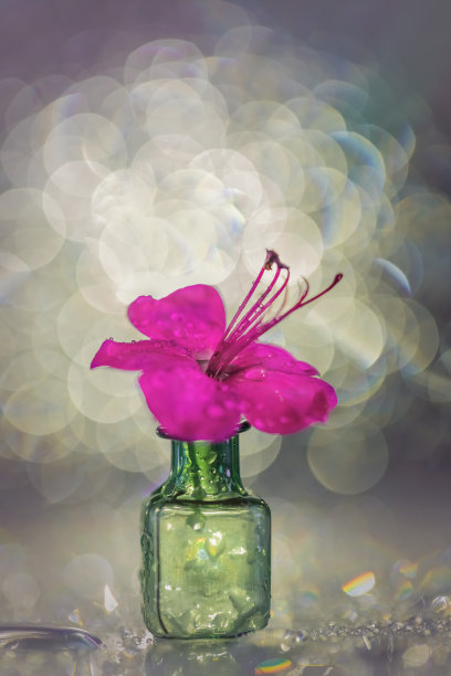 紫色花瓶上的花，在深色背景上配上美丽的散景。杂草在一个绿色的玻璃罐子。宏。有选择性的重点。副本的空间。图片下载