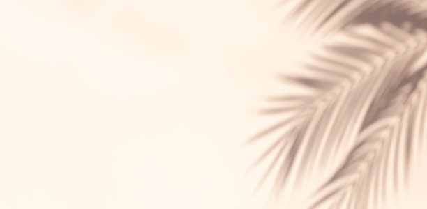 棕榈叶阴影在柔和的背景图片下载