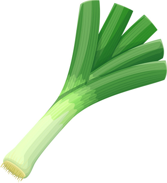 韭菜蔬菜图片下载
